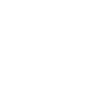 Logotipo Dalii Solutions - Estudio YOBO Diseño y Desarrollo Elche